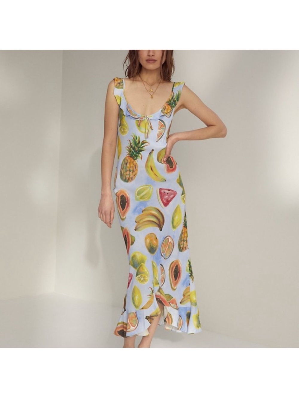 New Aritzia ~ Wilfred Donna
Fruit Dress - Large